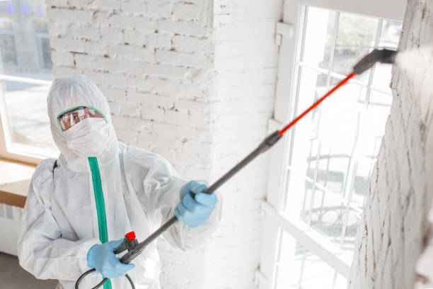 Best Mold Odor Removal Services  in Riverton, NJ